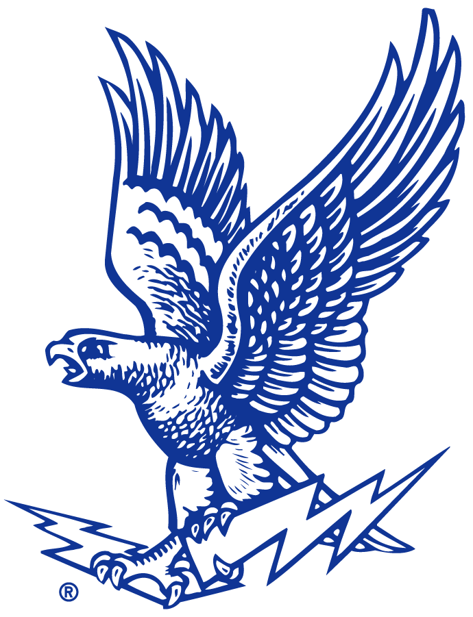 Air Force Falcons 2020-2022 Secondary Logo diy iron on heat transfer